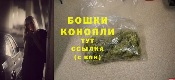 ГАЛЛЮЦИНОГЕННЫЕ ГРИБЫ Касимов