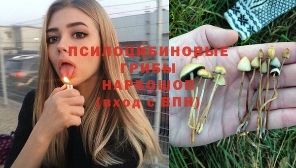 соль курить ск Карпинск
