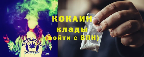 ГАЛЛЮЦИНОГЕННЫЕ ГРИБЫ Касимов