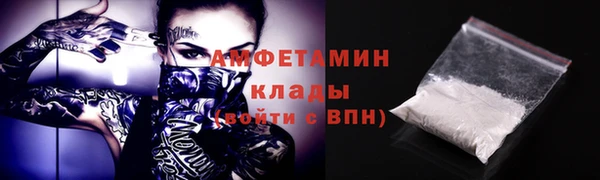 ГАЛЛЮЦИНОГЕННЫЕ ГРИБЫ Касимов