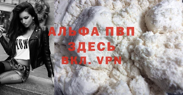 ГАЛЛЮЦИНОГЕННЫЕ ГРИБЫ Касимов