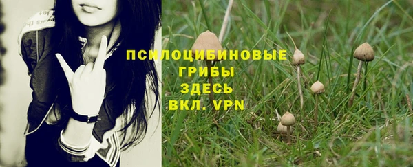 соль курить ск Карпинск