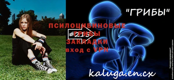 шишки Карталы