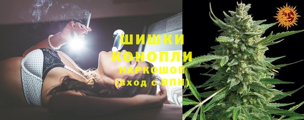 ГАЛЛЮЦИНОГЕННЫЕ ГРИБЫ Касимов